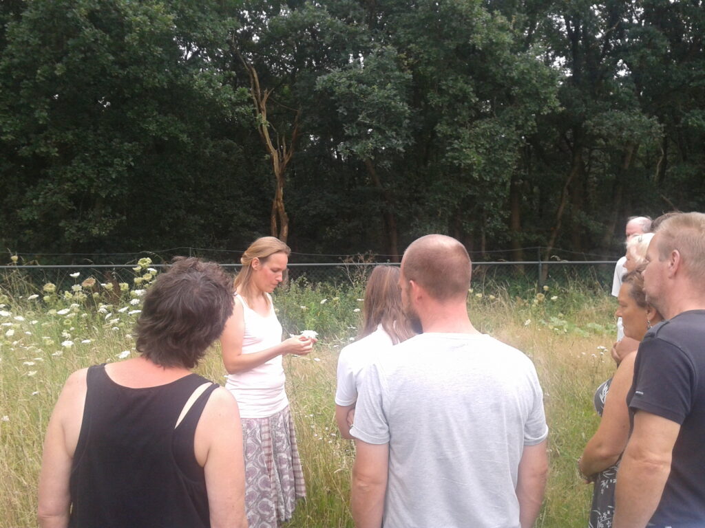 Group of people in a meadow near trees during an outdoor meeting.