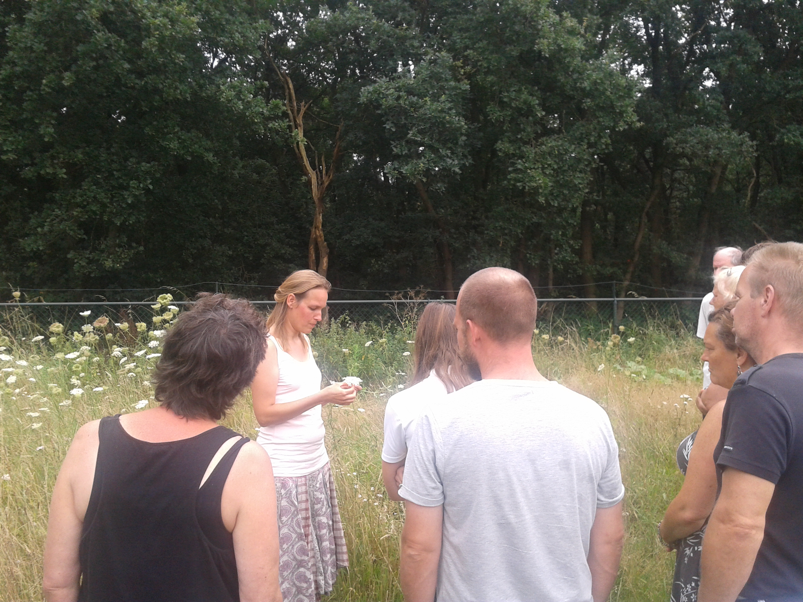 Group of people in a meadow near trees during an outdoor meeting.