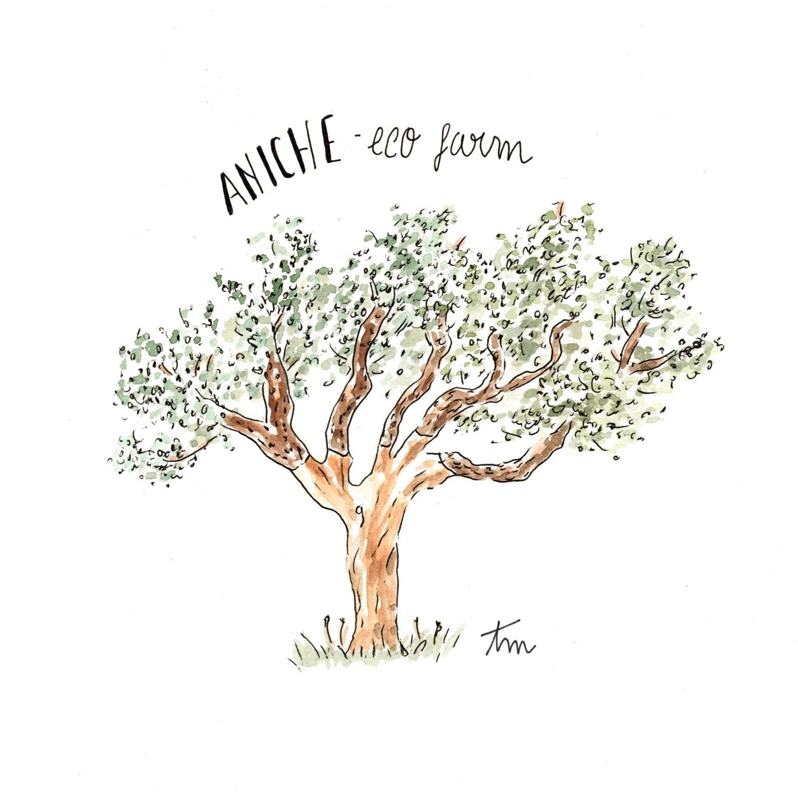 Illustration of a central olive tree with green leaves and brown trunk.