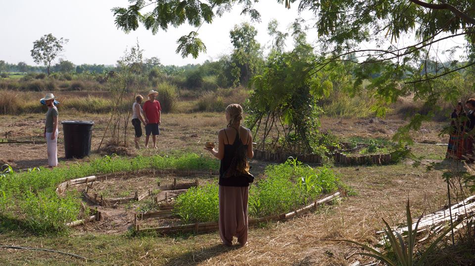 People in a sunlit, rural landscape tending small circular garden beds under trees.
