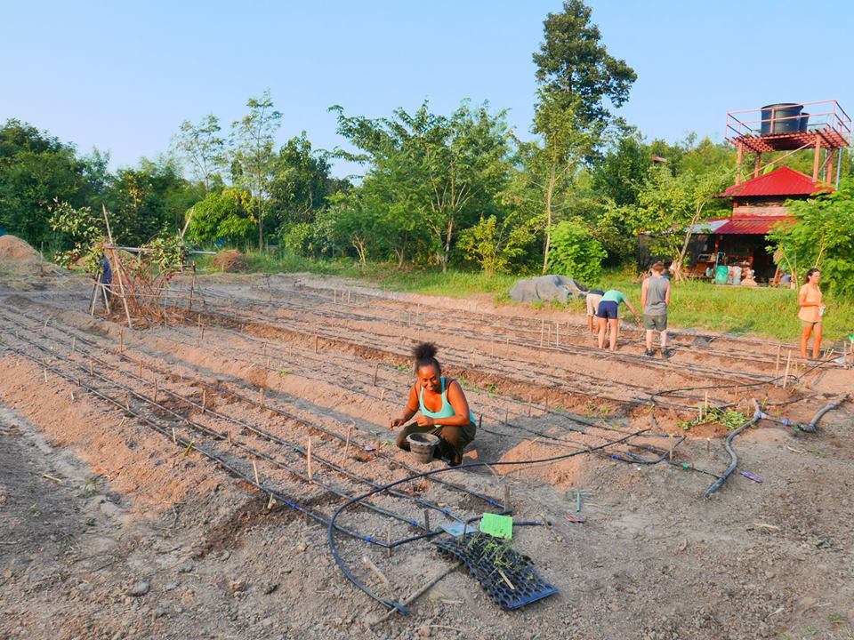 People working on irrigation and planting beds at Eco Village site with trees and a red tower in the.