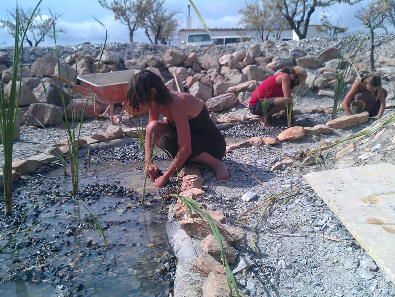 People tending plants and stones around a shallow water feature in an environmental project.