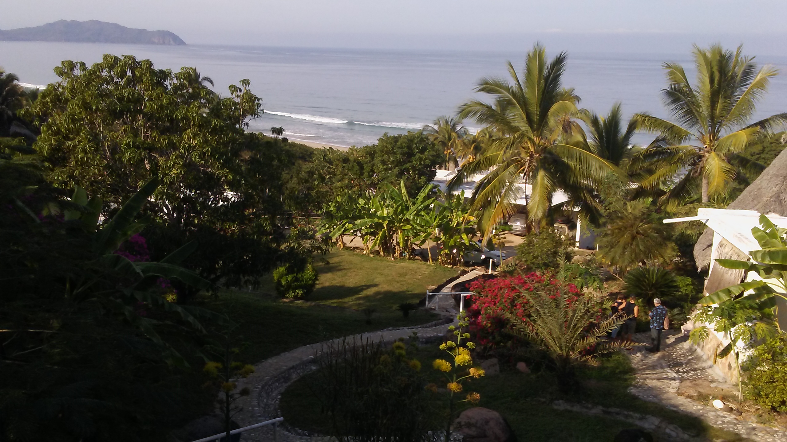 Global Ecovillage Network coastal garden with palm trees and sea view.