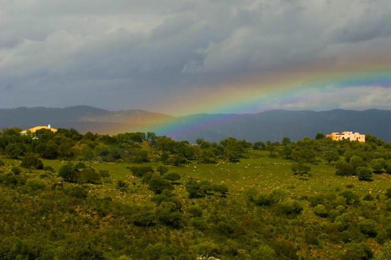 Rainbow over a green landscape with scattered trees and distant hills.