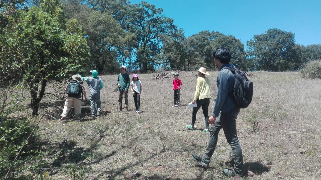 People walking across a grassy field with trees, outdoors.