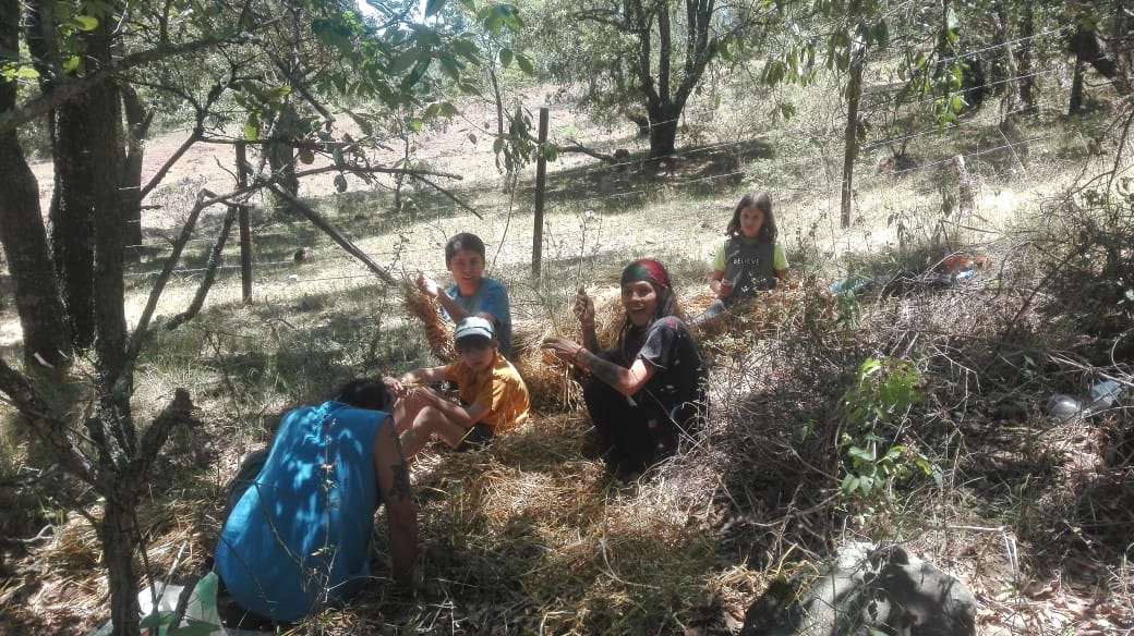 Group of volunteers in a rural orchard working together.