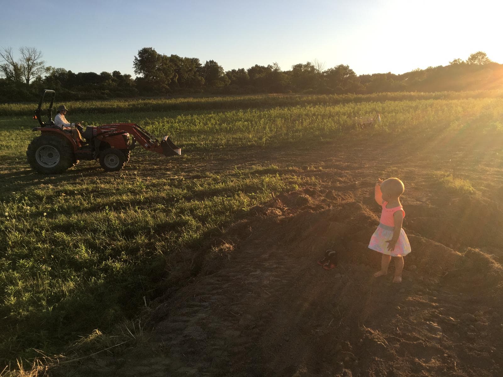 Child standing in farm field as tractor works in the distance at sunset.