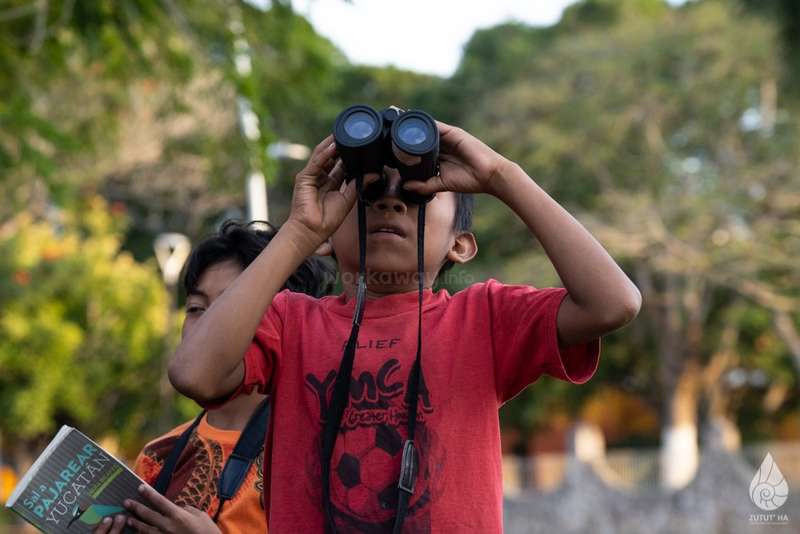 Child looking through binoculars at an outdoor community setting.