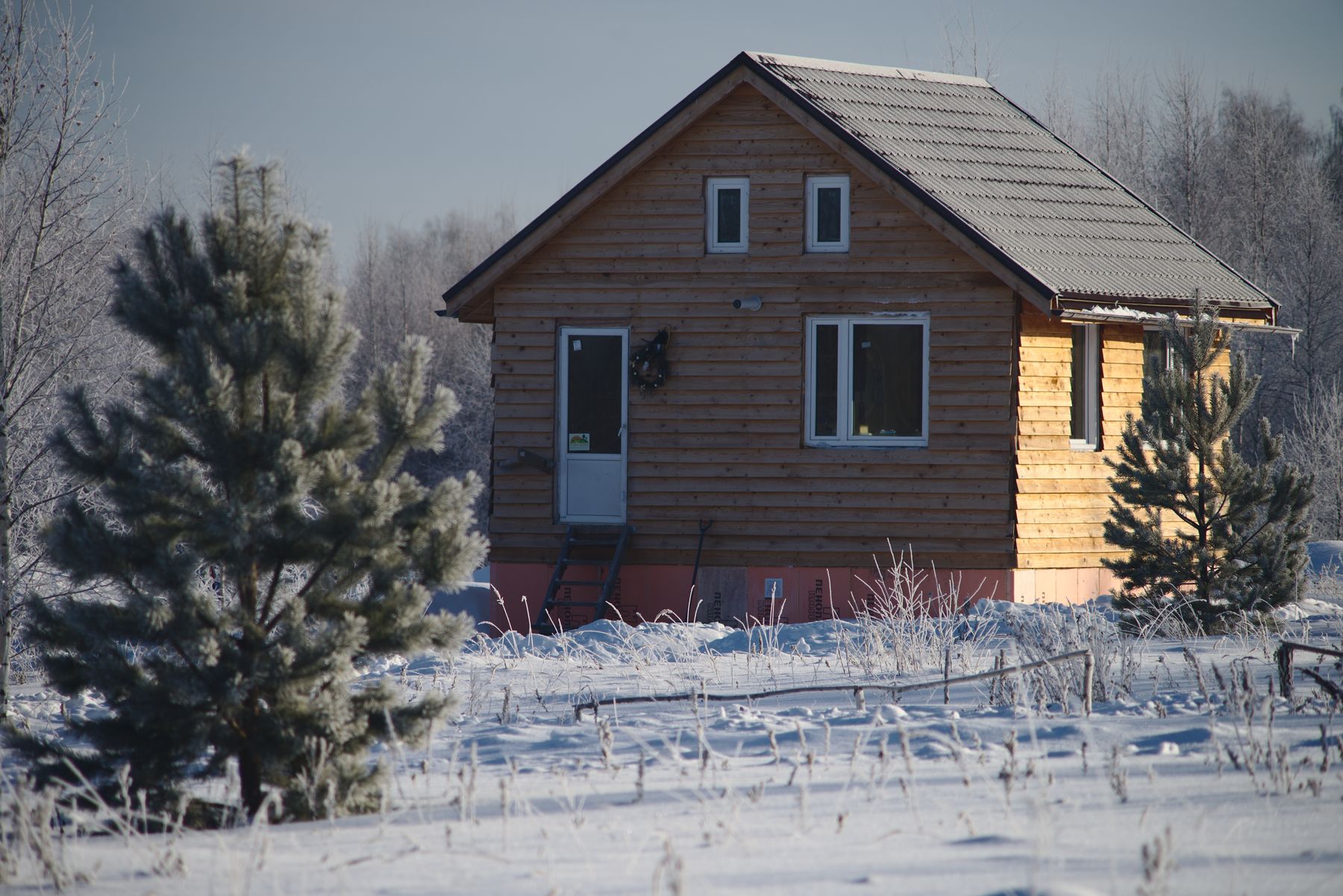 Log cabin in a snowy field surrounded by pine trees.