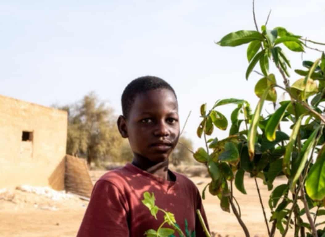 eco-fest-2025-cultivating-hope-community-resilience-in-the-sahel