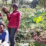 Three smiling people in a garden with leafy plants and crops.