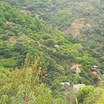 Terraced hillside with houses among green trees.
