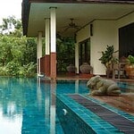 Global ecovillage pool with tropical plants and a veranda.
