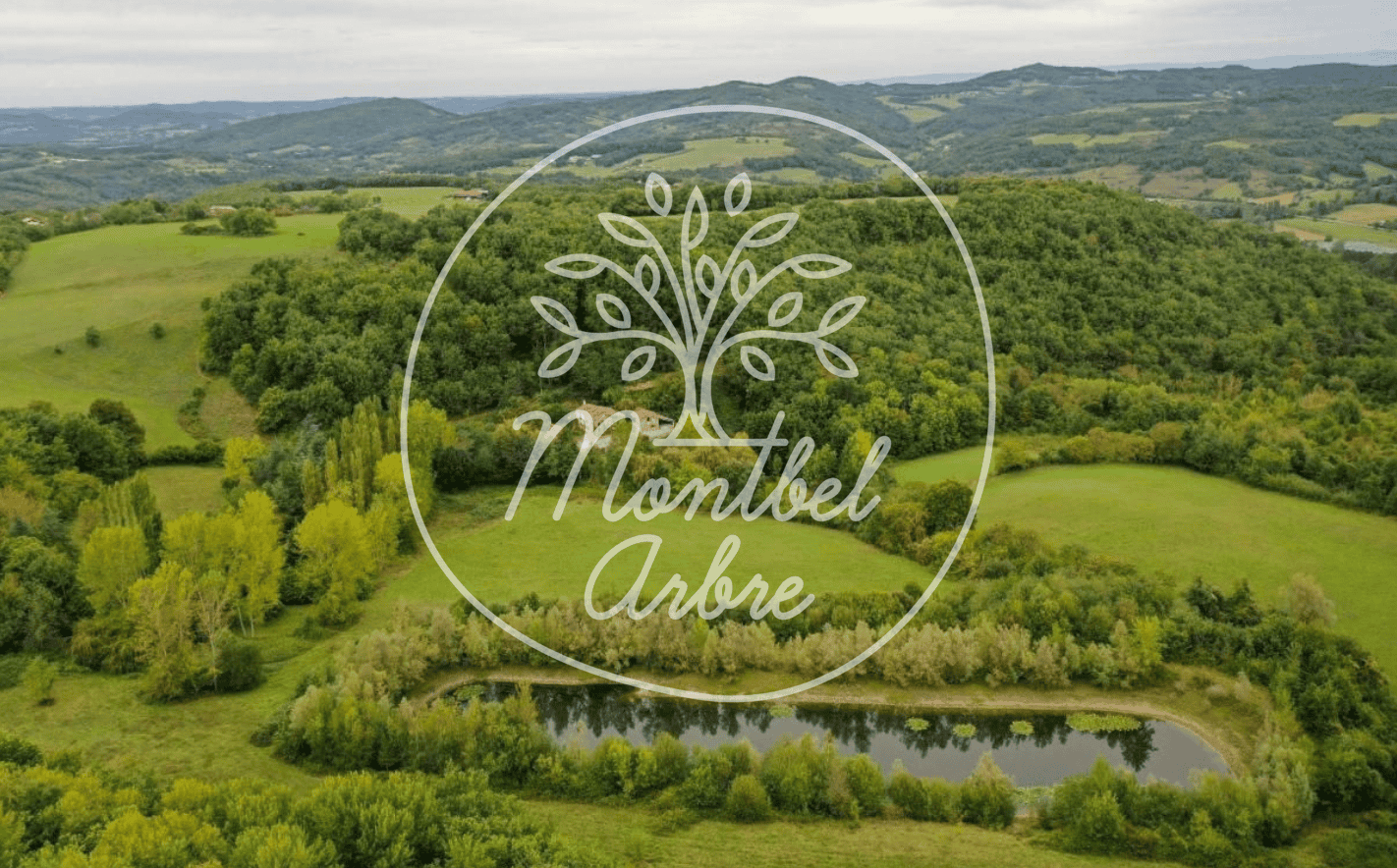 Global Ecovillage Network inspired landscape with trees and rolling hills in Montbel Arbre.