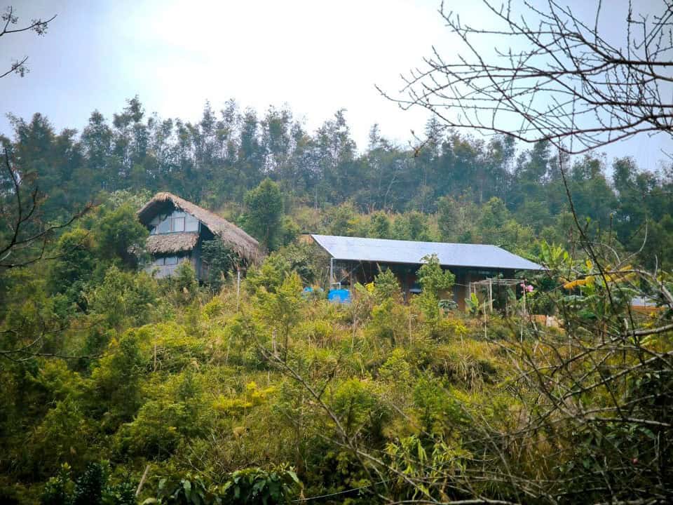Ecovillage buildings nestled in a hillside with greenery and a thatched-roof hut.
