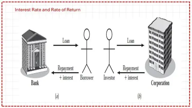 What is the difference between borrower and investor?