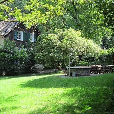 Neues Web -Waldschule Solingen