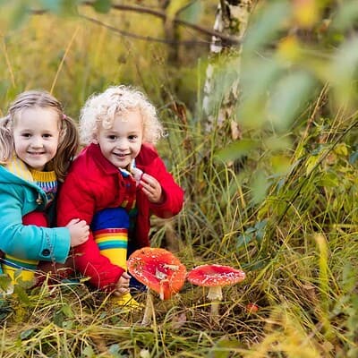 Kindergeburtstag in der Waldschule