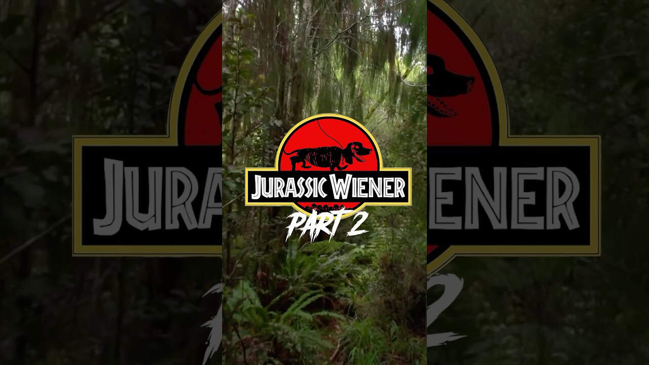 Would you try to pet the Wienersaur?😅🦖#jurassicpark #dachshund