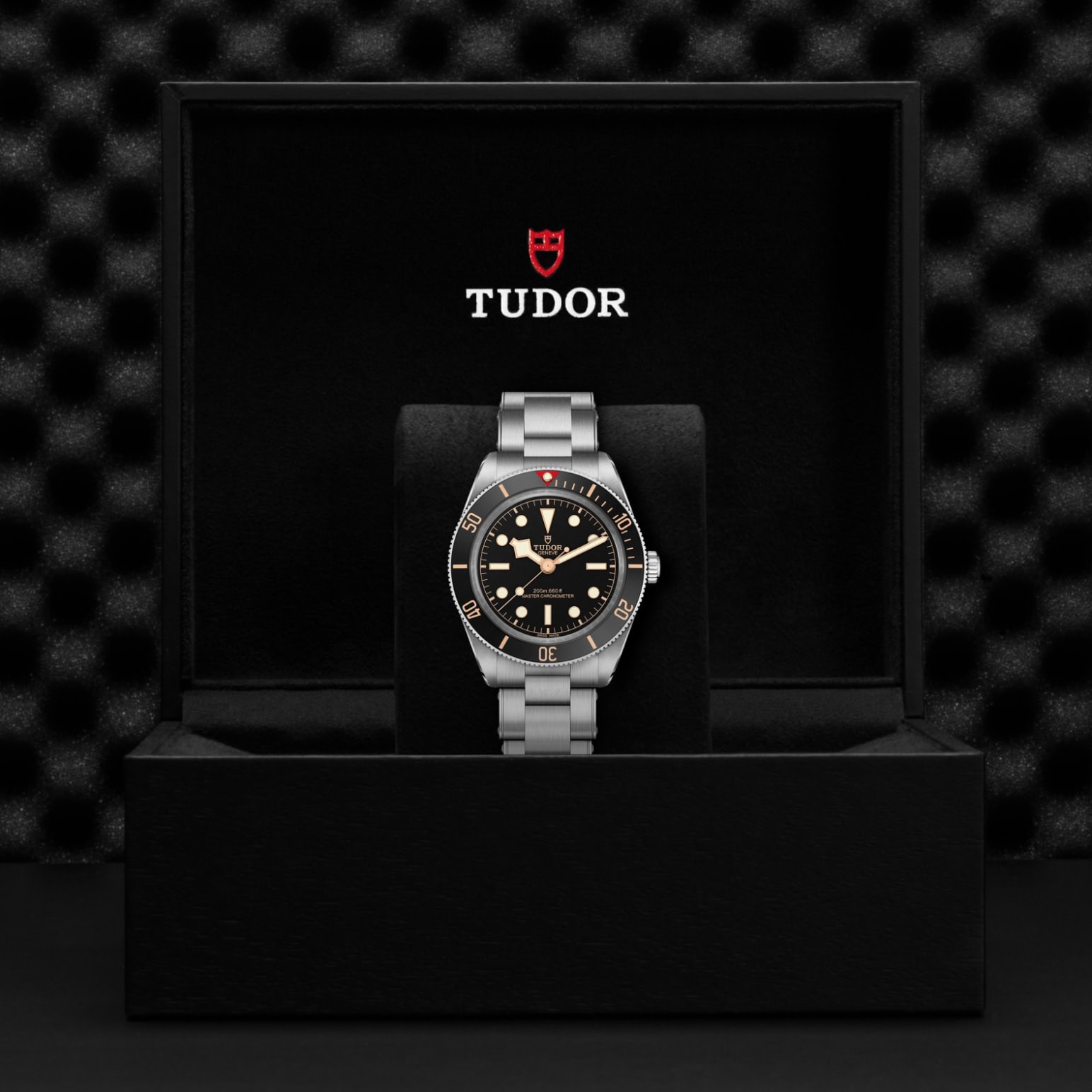 TUDOR Black Bay 58 in Edelstahl (M7939A1A0NU-0002) Uhr bei Juwelier-Eckstein