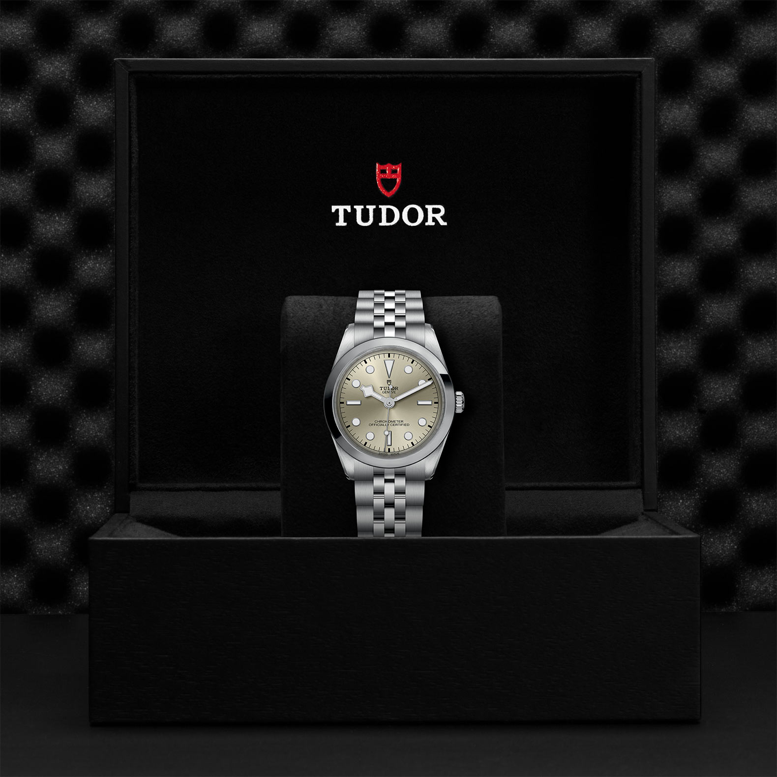 TUDOR Black Bay One 36 in Edelstahl (M79640-0003) Uhr bei Juwelier Leo Link