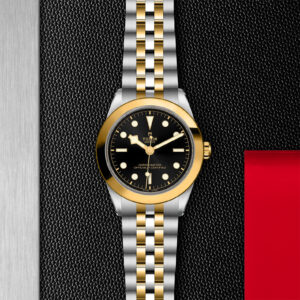 TUDOR Black Bay One 39 S&G in Edelstahl und Gold (M79663-0001) Uhr bei Juwelier Leo Link