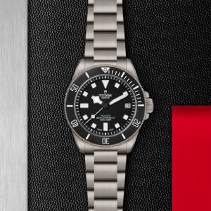 TUDOR Pelagos Ultra in Titan (M2543C1A7NU-0001) Uhr bei Juwelier Leo Link