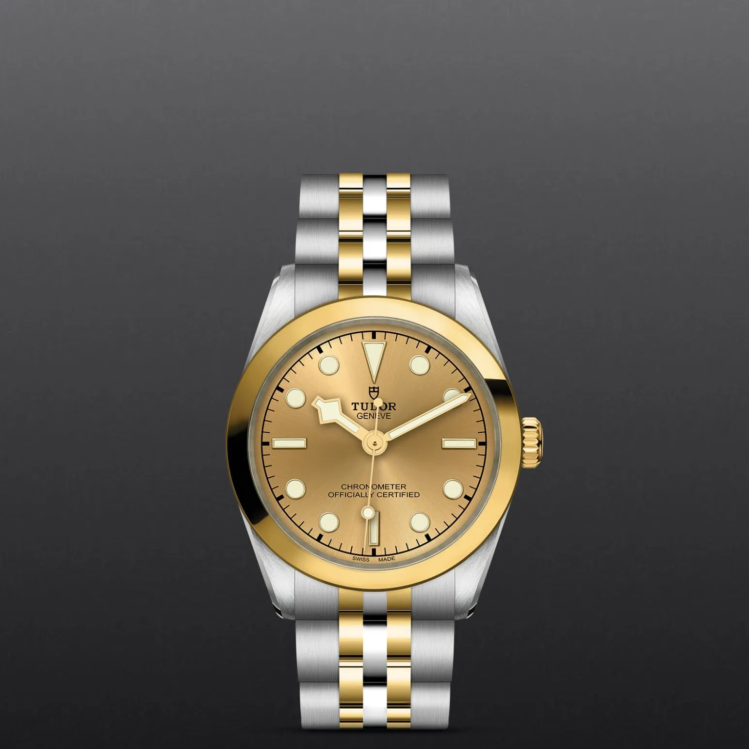 TUDOR Black Bay One 31 S&G in Edelstahl und Gold (M79603-0005) Uhr bei Juwelier Leo Link