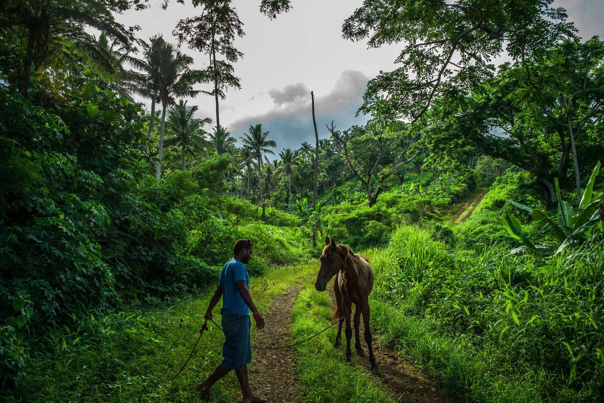 About us island spirit! Taveuni's very own new Tagimoucia Festival