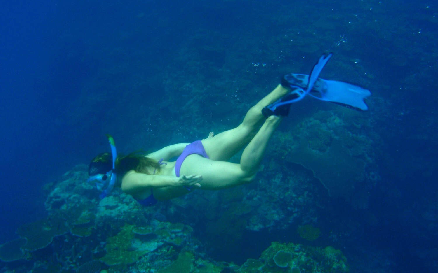 The Ocean as our lungs