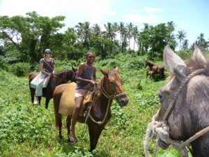 New Optional Activity from Island Spirit Horse Riding