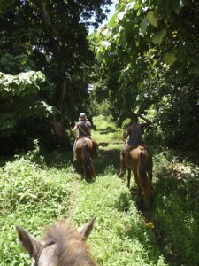 New Optional Activity from Island Spirit Horse Riding