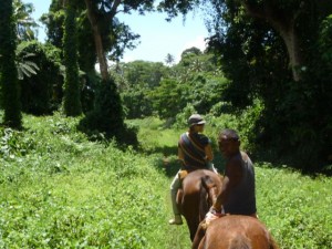 New Optional Activity from Island Spirit Horse Riding