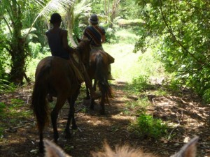 New Optional Activity from Island Spirit Horse Riding