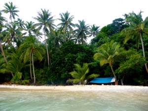 Wild Island Camping - a test trip
