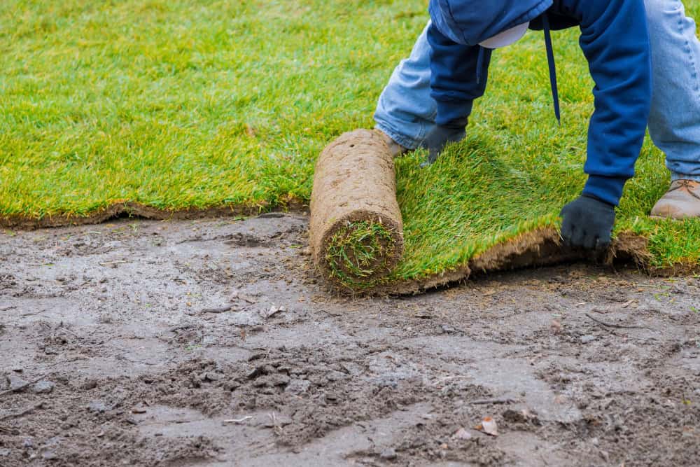 Commercial Sod Installation Project