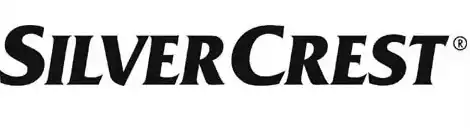 2sstore Silver Crest logo