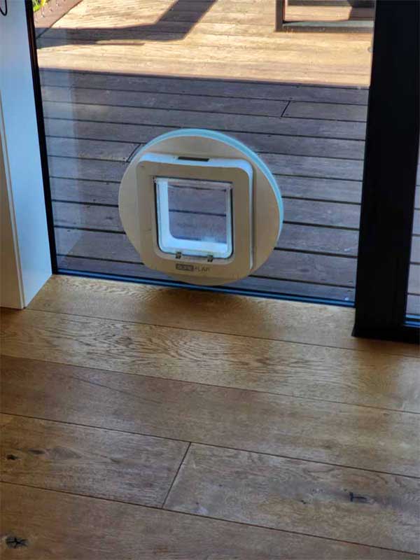 Pet Door