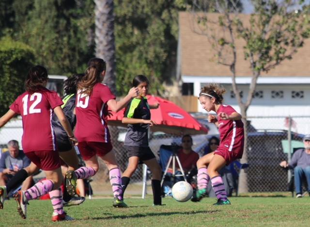 Early to Specialize: Will It Make Your Child Athlete Healthy, Wealthy and Wise?