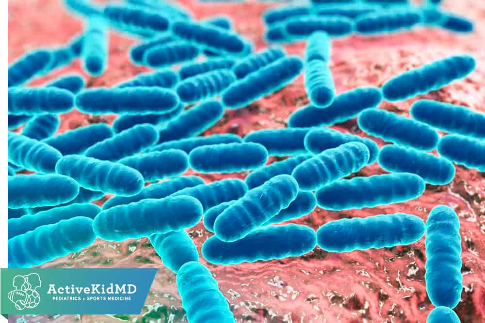 active kid logics on probiotics and antibiotics