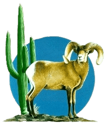 Bighorn sheep standing near cactus in the Arizona Desert Bighorn Sheep Society logo.