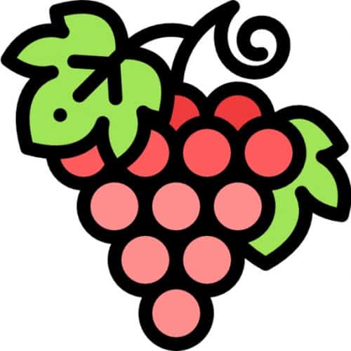 Vigneti Vallorani - Box Classico - Trebbiano Toscano