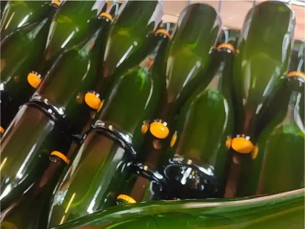 Vasetti di bottiglie di vino in bottiglia verde con tappi di sughero.