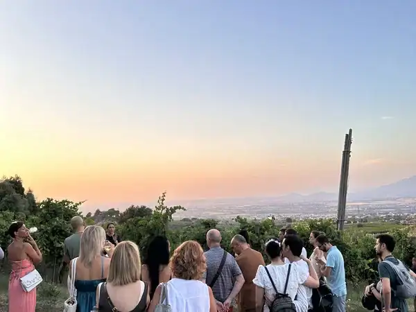 Gruppo di persone in visita ai vigneti con vista panoramica al tramonto.