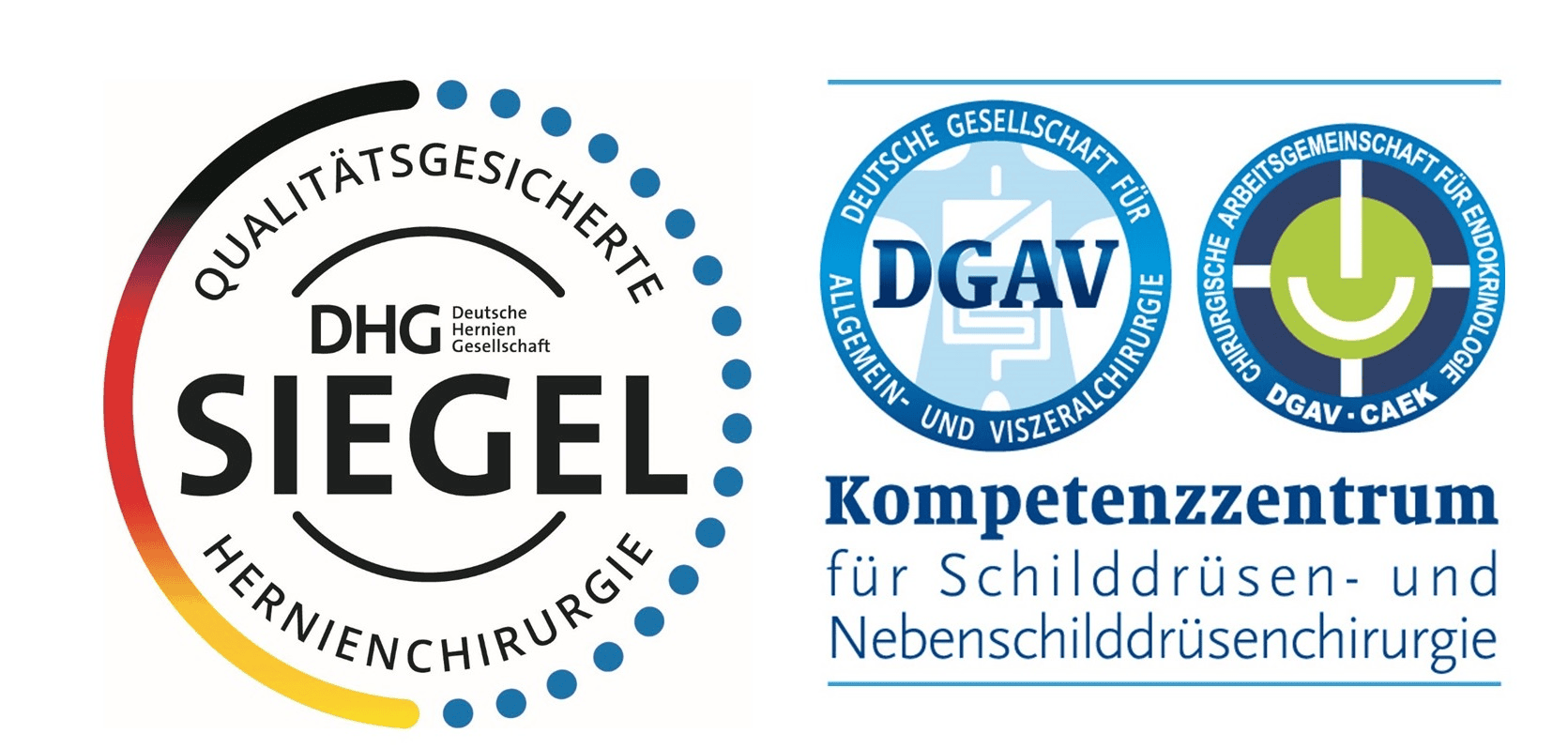Hochwertiges Siegel für allergiefreundliche und zertifizierte Schilddrüsen- und Neben Schilddrüsenchirurgie, Qualitätsgarantie von DHG und DGAV, Für Experten und medizinische Fachkräfte in der Schilddrüsenchirurgie.