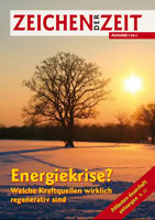 Ein einzelner Baum im Sonnenuntergang, symbolisiert Umwelt- und Energiethemen, nachhaltige Entwicklung, regenerative Energien und ökologische Verantwortlichkeit.