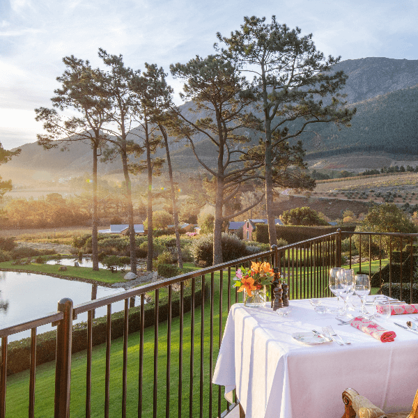 Cape Winelands