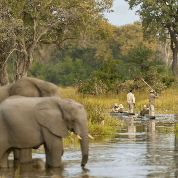 Okavango Delta