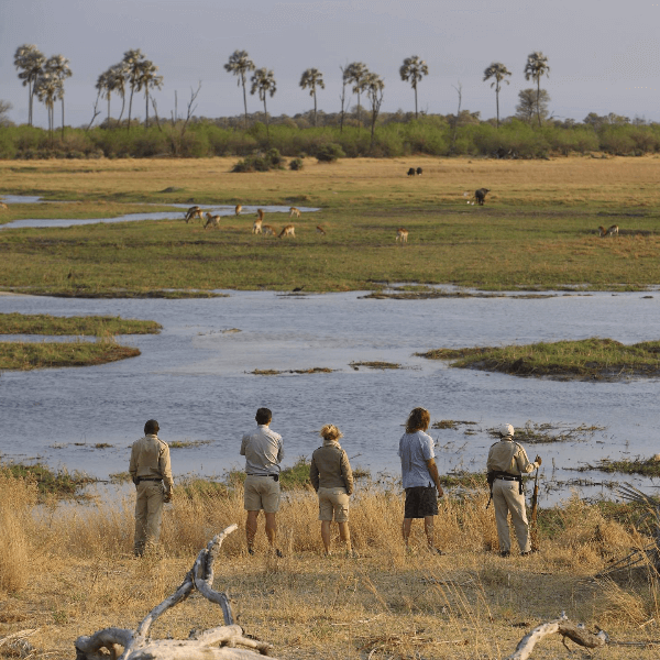 Okavango Delta
