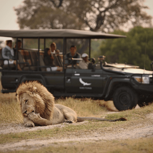 Okavango Delta